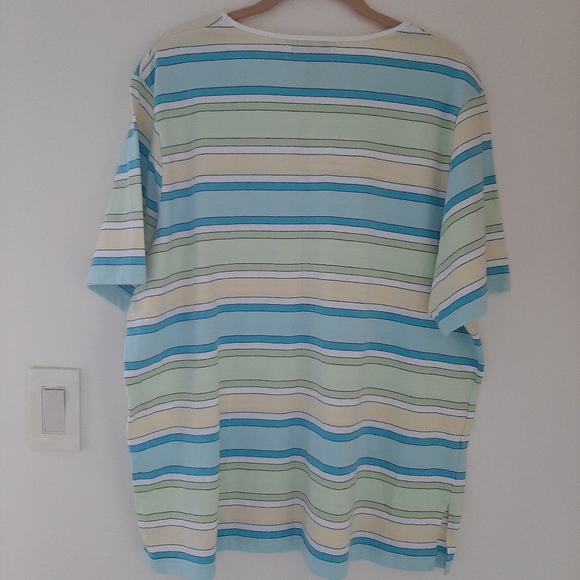 EUC C.D. DANIELS STRIPED TEE SHIRT - Picture 2 of 6